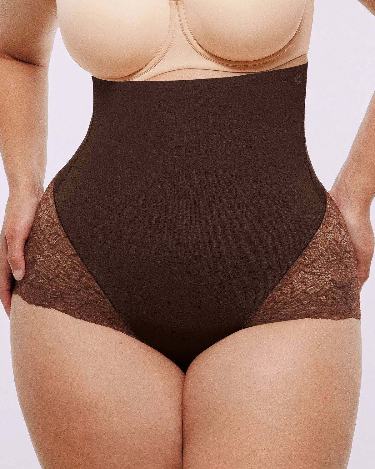 Komfortfit | High-Waisted  Sheer Lace Brief