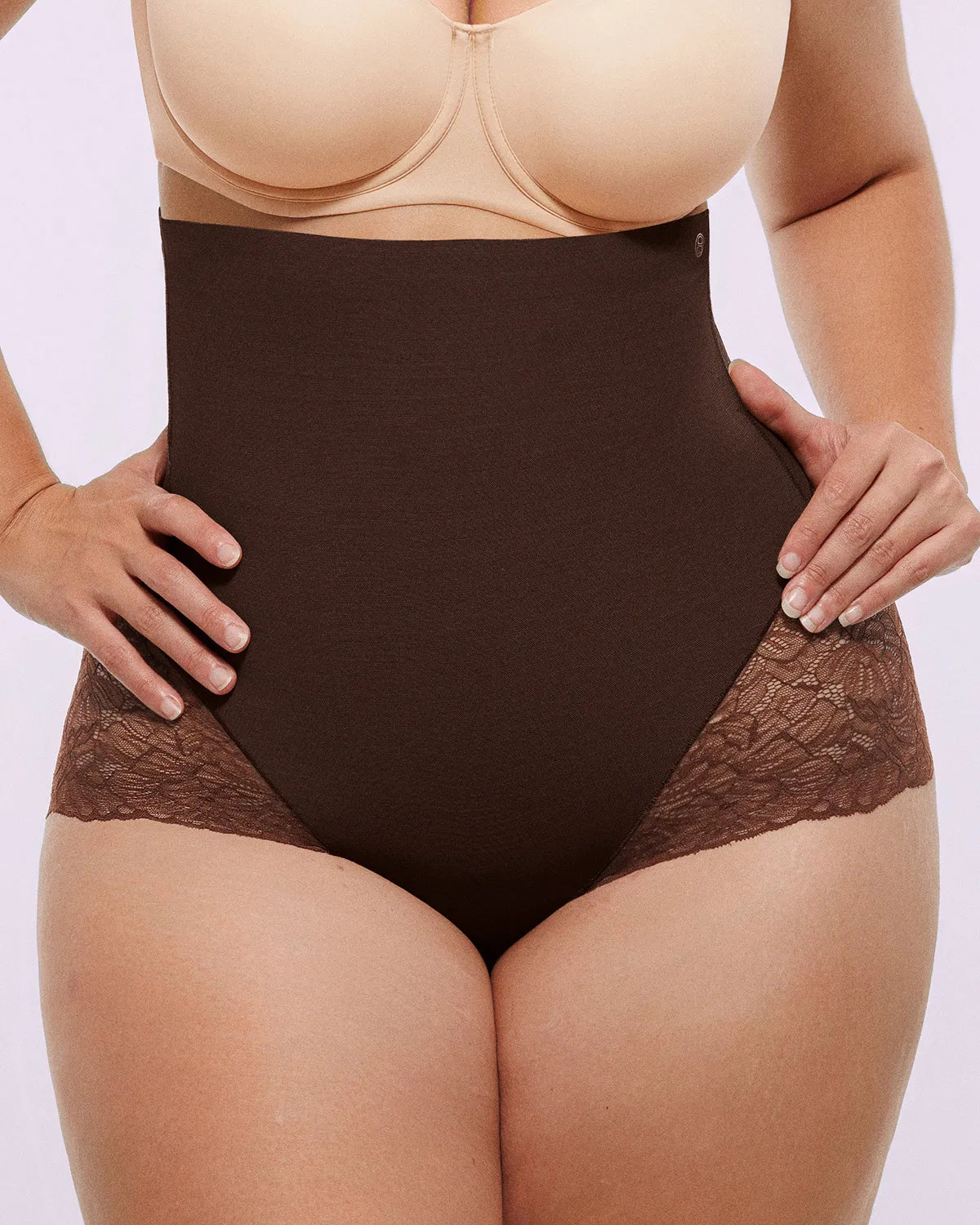 Komfortfit | High-Waisted  Sheer Lace Brief